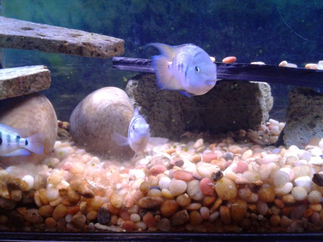 20190111_151808.jpg 20190111_151808.jpg