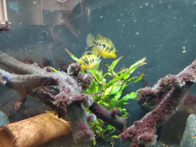 20201202_114457.jpg
