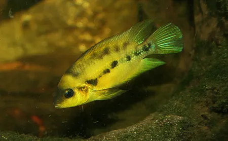 1611489390572.png 1611489390572.png