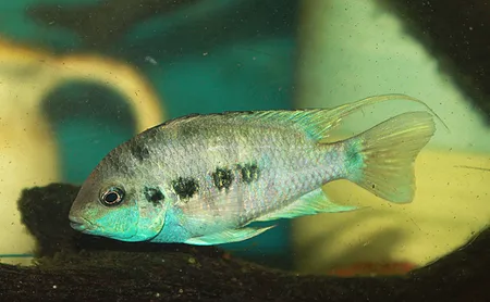 1611489489602.png 1611489489602.png