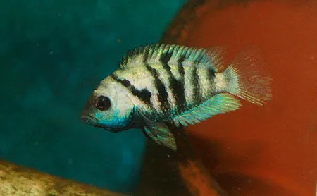 1611489545802.png 1611489545802.png