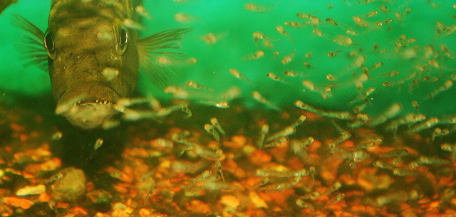 1611500847507.png