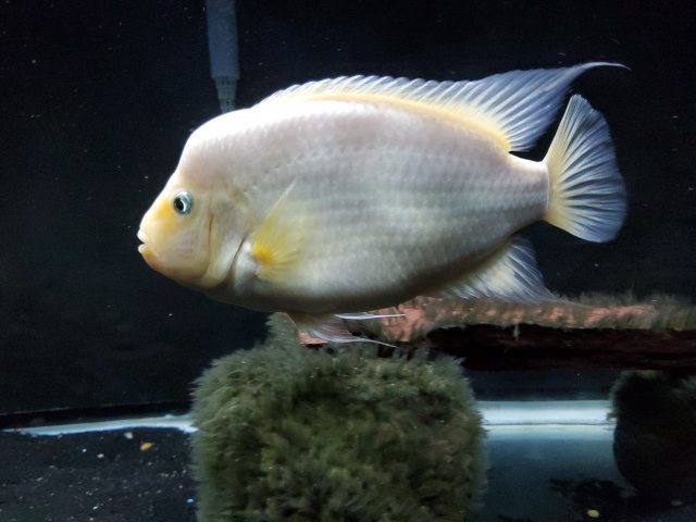 20210116_183617.jpg 20210116_183617.jpg