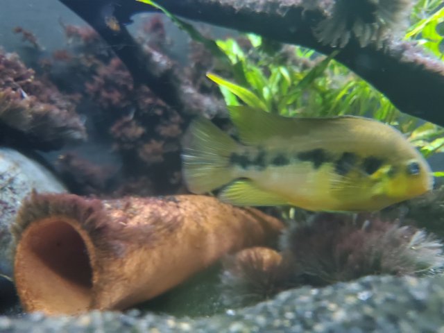 20210121_173237.jpg 20210121_173237.jpg