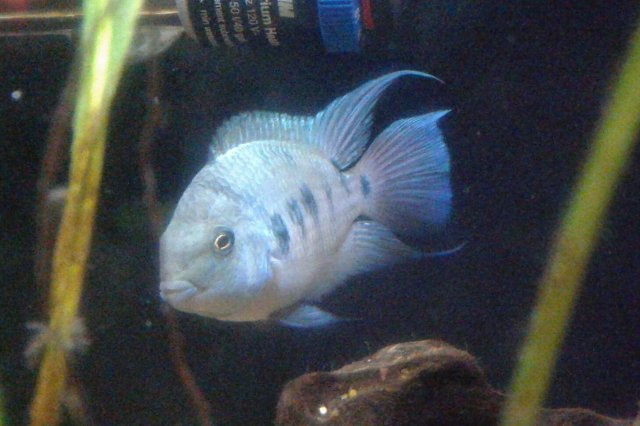 20190108_210422.jpg 20190108_210422.jpg