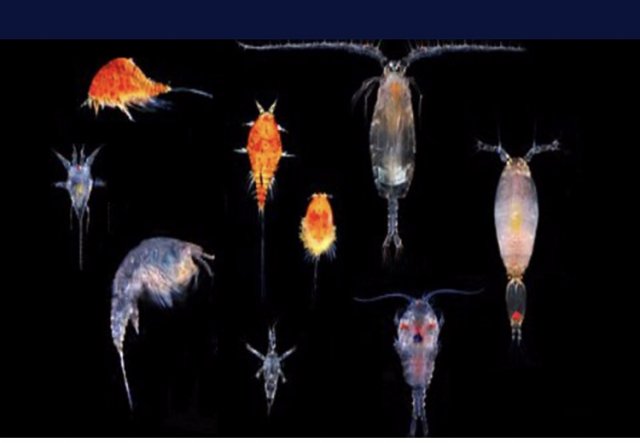 A3F13EF2-F48B-499F-BF08-430757F832F6.jpeg A3F13EF2-F48B-499F-BF08-430757F832F6.jpeg