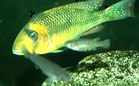 1612019816947.png 1612019816947.png