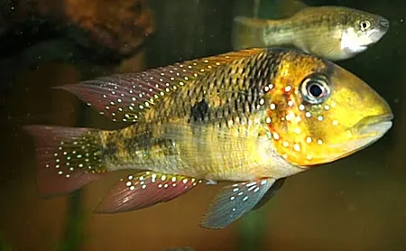 1612019842114.png 1612019842114.png