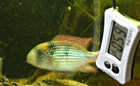 1612020023540.png 1612020023540.png