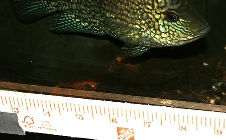 1612022508014.png 1612022508014.png