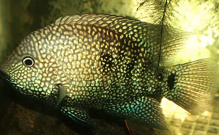 1612022677685.png 1612022677685.png