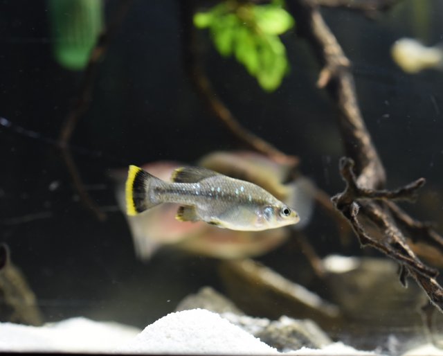 DSC_8578.JPG DSC_8578.JPG