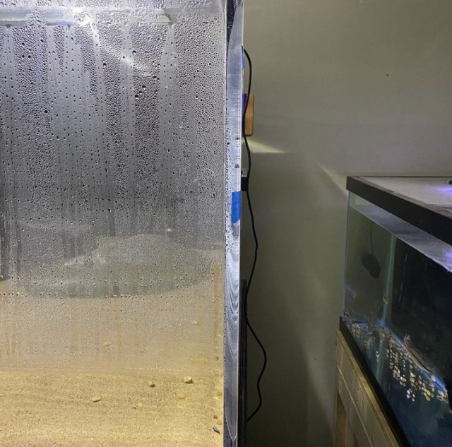 358114ED-8DB7-4271-92BD-CFDD61C5093C.jpeg 358114ED-8DB7-4271-92BD-CFDD61C5093C.jpeg