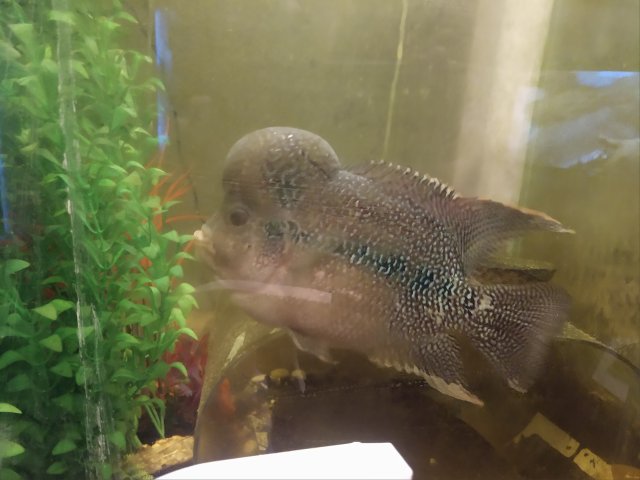 IMG_20210107_160400234.jpg