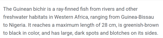 wrong info ansorgii MFK.PNG