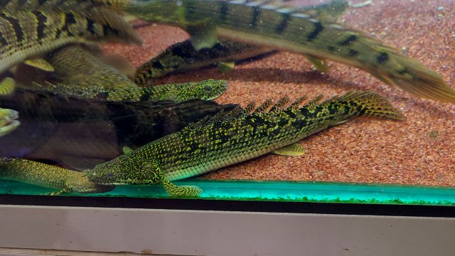20210203_151956.jpg