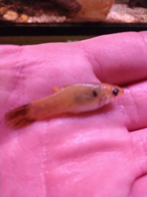 cameringo_20200203_223642.jpg cameringo_20200203_223642.jpg