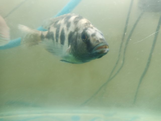 IMG_20210205_215733.jpg