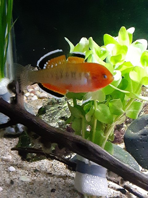20210206_142741.jpg