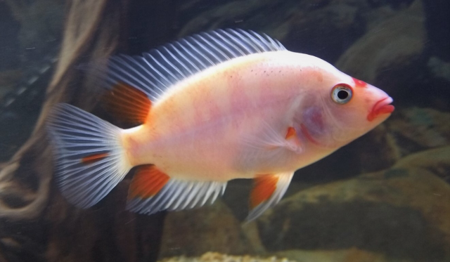 2E0D6EE1-F4DF-4C90-BAC8-DA903E0D8B2F.png