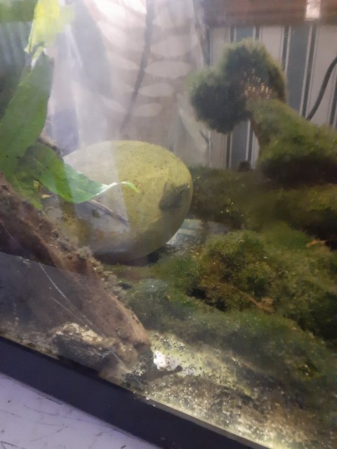 20201005_135939.jpg