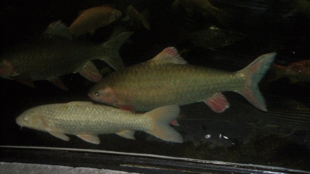 100_9654.JPG 100_9654.JPG