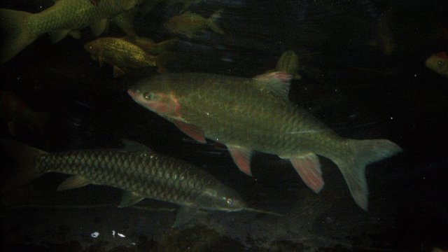 100_9655.JPG 100_9655.JPG