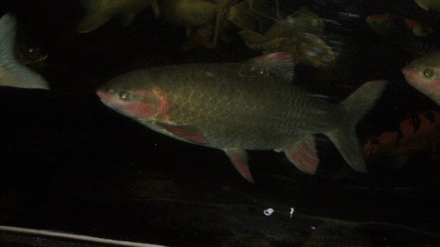 100_9659.JPG 100_9659.JPG