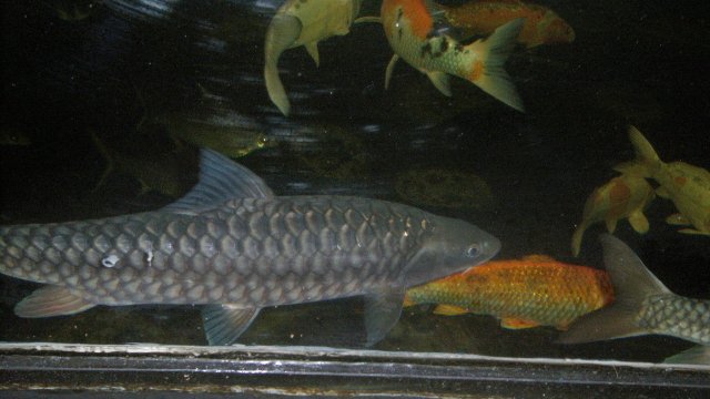 100_9617.JPG