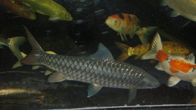 100_9624.JPG