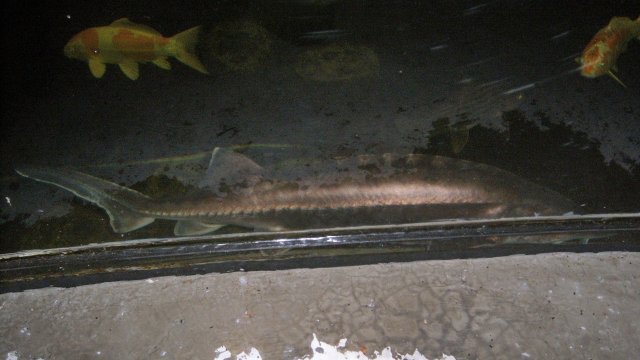 100_9611.JPG