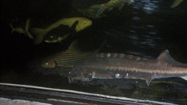 100_9614.JPG
