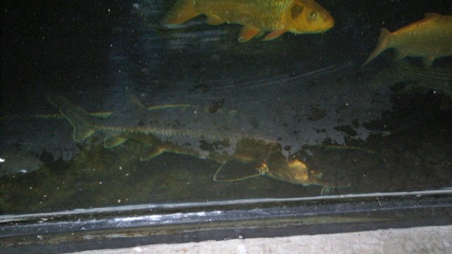 100_9640.JPG