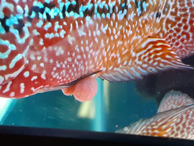 20210208_164516.jpg