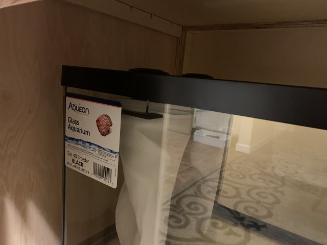 Photo Feb 10, 8 55 29 PM.jpg