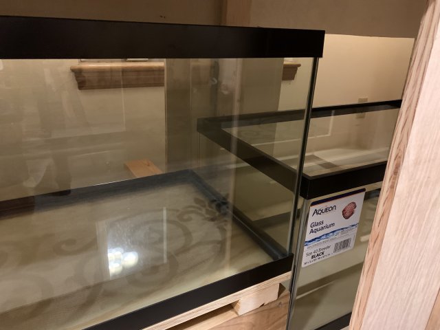 Photo Feb 10, 8 55 24 PM.jpg