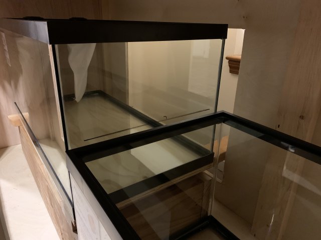 Photo Feb 10, 8 57 34 PM.jpg