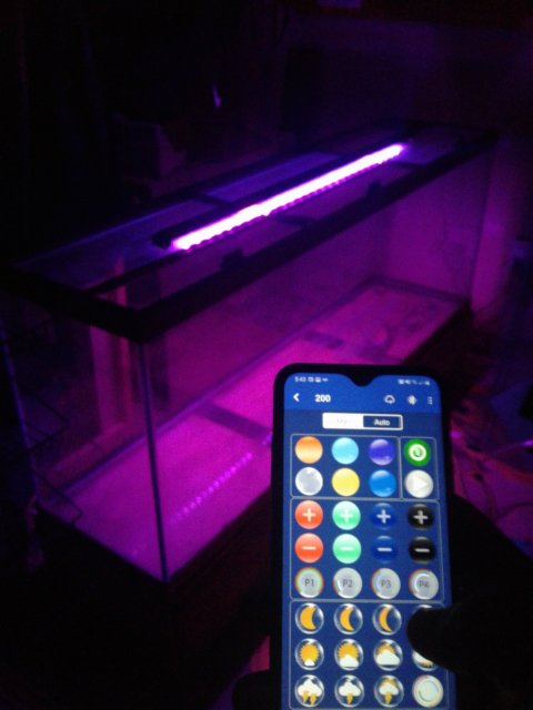 20210211_174342.jpg