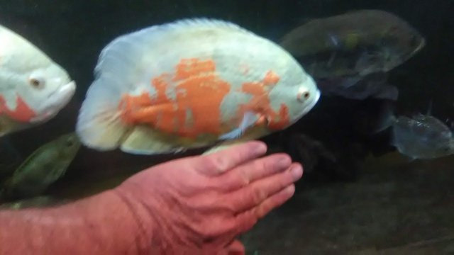 IMG_20190428_190504.jpg IMG_20190428_190504.jpg