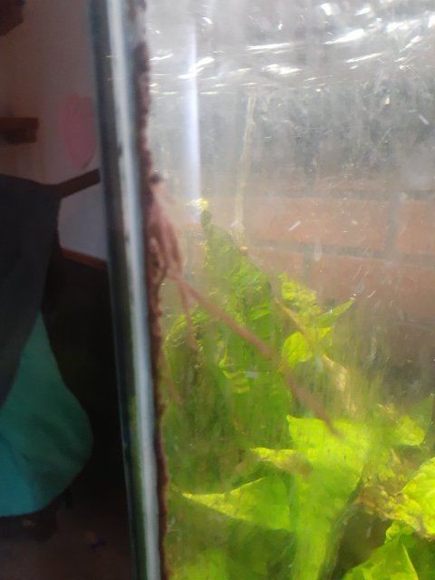 20210216_084555.jpg