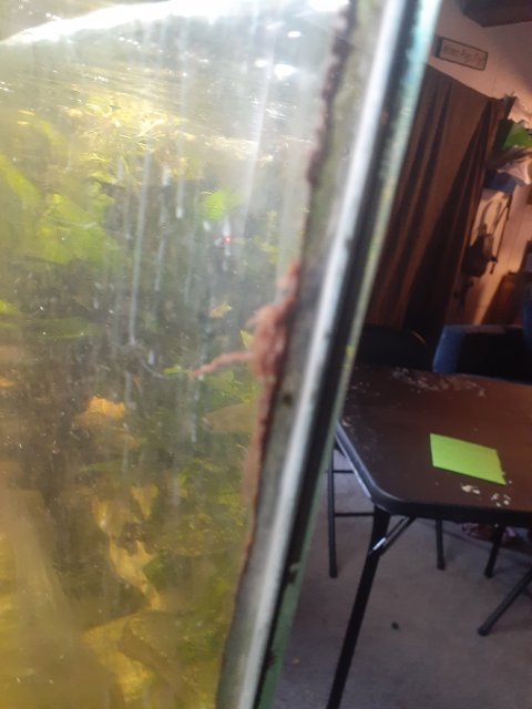 20210216_085127.jpg