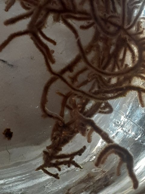 20210216_130840.jpg
