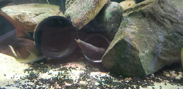 20210212_092754.jpg 20210212_092754.jpg