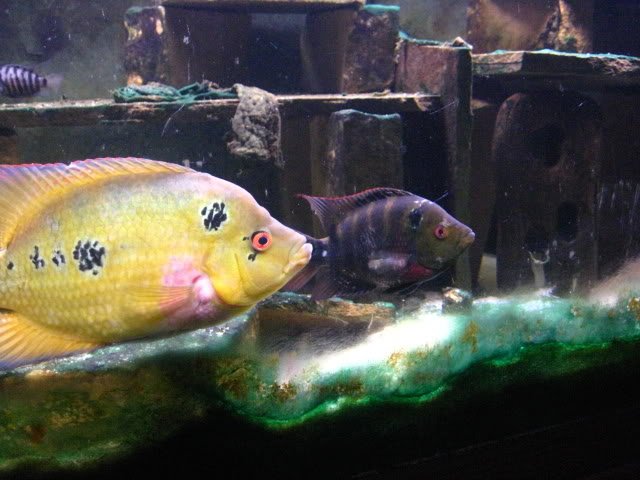 IMG_0572.jpg