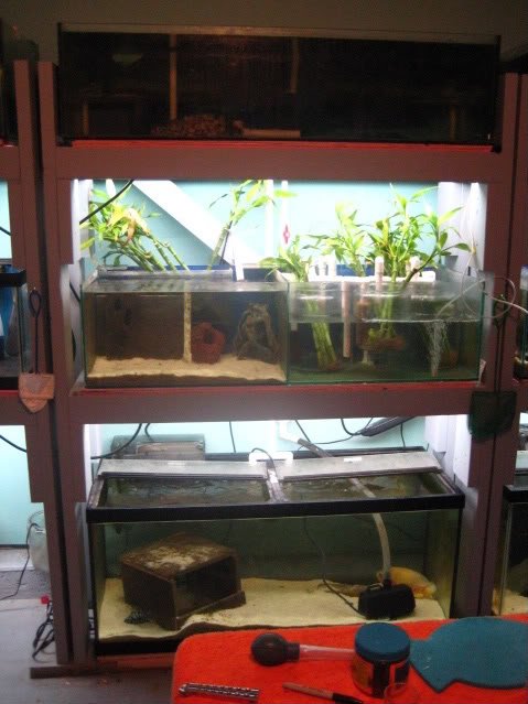 IMG_0537.jpg IMG_0537.jpg