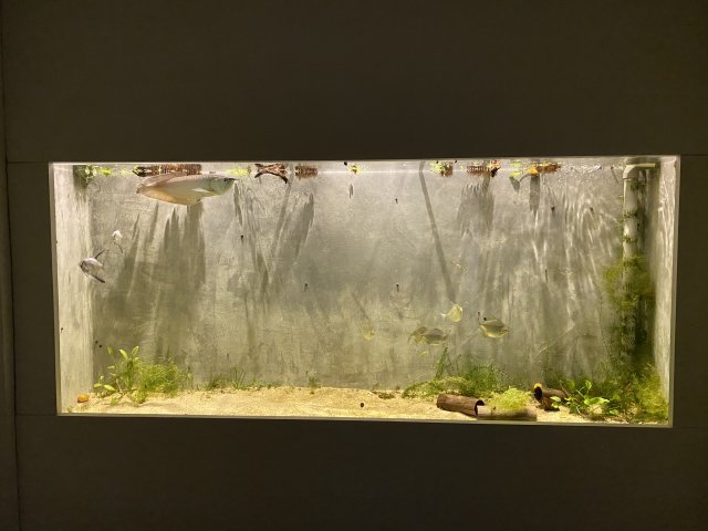 IMG_3694.jpeg IMG_3694.jpeg