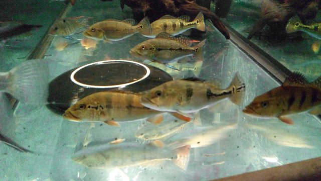 IMG_20210216_225846_381.jpg