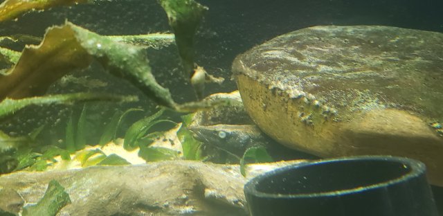 20210219_091534.jpg 20210219_091534.jpg