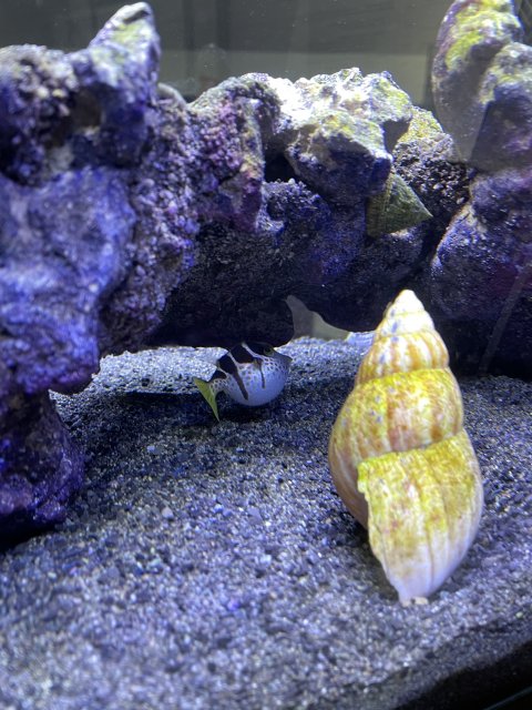 3AE80D2B-939F-42D2-8ECA-D292F17EB58D.jpeg 3AE80D2B-939F-42D2-8ECA-D292F17EB58D.jpeg