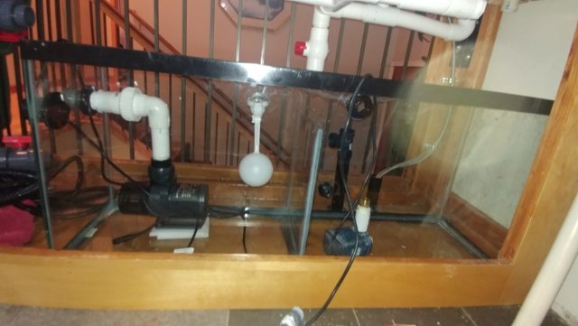 0925202024 (Medium).jpg